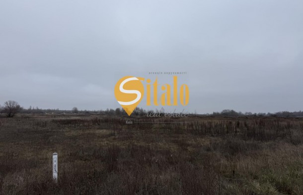 Вишеньки, простора ділянка поруч КМ Золоче., фото 4