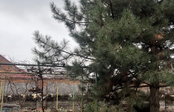 Продаж будинку на правому березі, Дніпровський район, фото 12