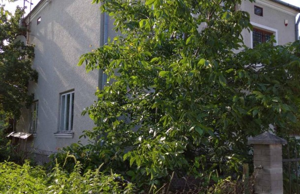 Продаж  Будинок  Винники, фото 3