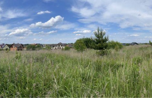 Продаж зем. ділянки в Ременові, фото 6