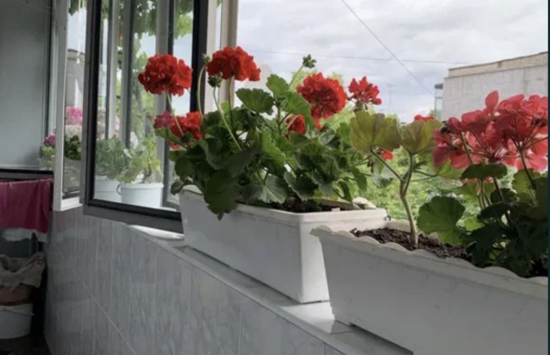 Продаж 4 кімнатної квартири вул. Мазепи Івана, гетьмана, Шевченківський район, Львів, фото 13
