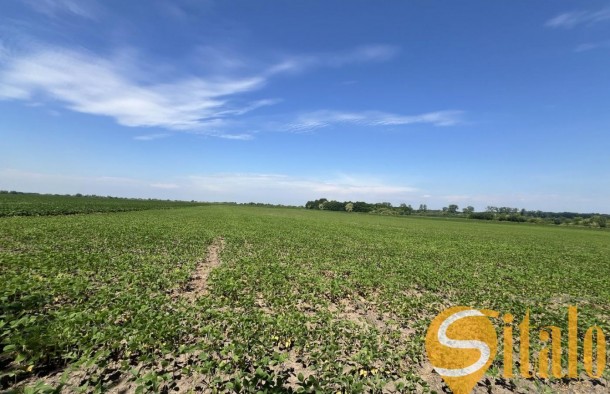 Продаж земельна ділянка під житлову забудову 1гА сс.Черлянське Передмістя Городоцький рн Львівська обл., фото 5