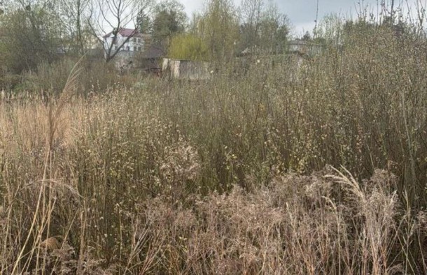 Продаж земельної ділянки в Брюховичах, фото 8