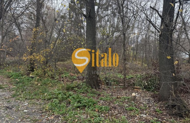 25 соток в тихому місці. Вишеньки, поруч КМ Золоче. Без, фото 2