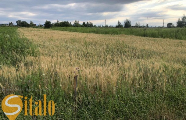 Продаю Земельну ділянку с г призначення . Чукалівка, фото 11