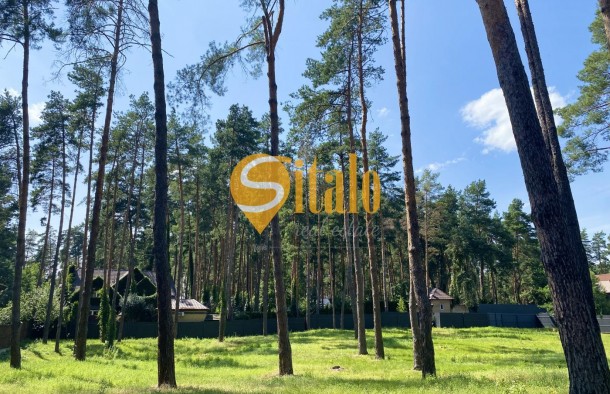 У сосновому лісі біля Романківська Усадьба, Новообухівський напрямок, 42,61 сотки, фото 9