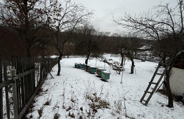 Земельна ділянка з будинком в с.Посіч 2625884601020010910, фото 5