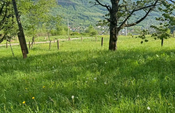 Земельна ділянка 54 сотихм.Яремче, фото 18