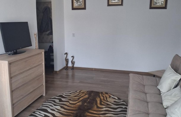 Оренда 3 квартира вул. Вагилевича,Центр., фото 8