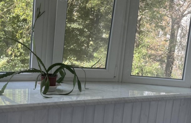 Продаж 3к.кв. по вул. Вороніна, фото 16