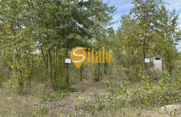 Ділянка 12 соток на півострові, Осокорки, метро Славутич 6 км, фото 7