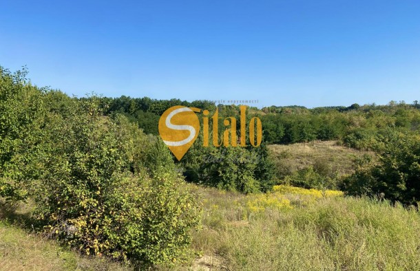 Ділянка з гарним краєвидом в Лісниках, поруч Equides Club, Новообухівський напрямок, 21,5 сотки., фото 5