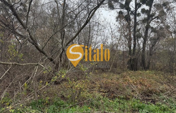 25 соток в тихому місці. Вишеньки, поруч КМ Золоче. Без, фото 4