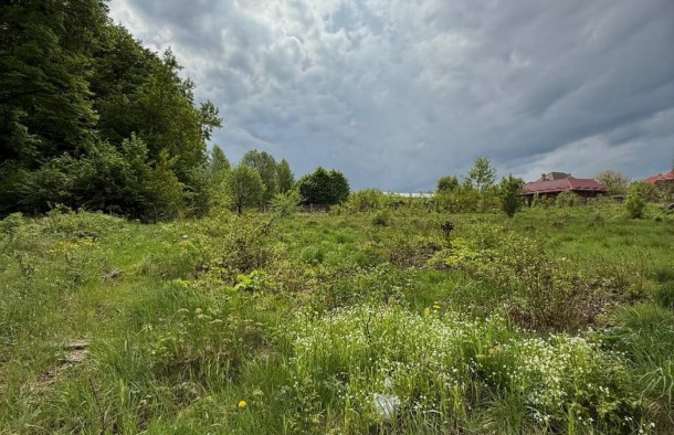 Продаж земельної ділянки біля лісу в с. Липники Пустомитівський рн, фото 5