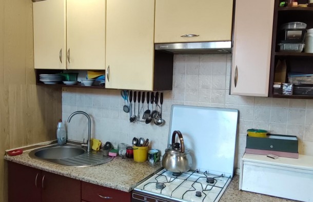 Два будинки на ділянці,  Шевченківський, м. Запоріжжя, фото 19