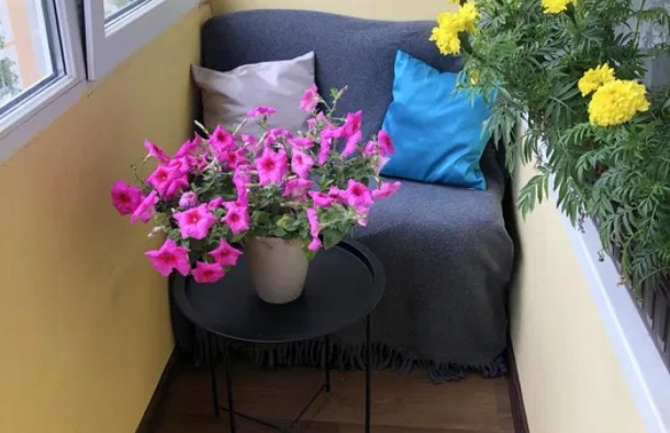 4 кімнатна квартира вулиця Сахарова Львів, фото 7