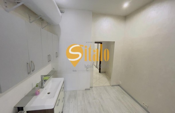 Без Фасадное помещение с отдельным входом, ул. Пушкинская, 11 метро Театральная, фото 13