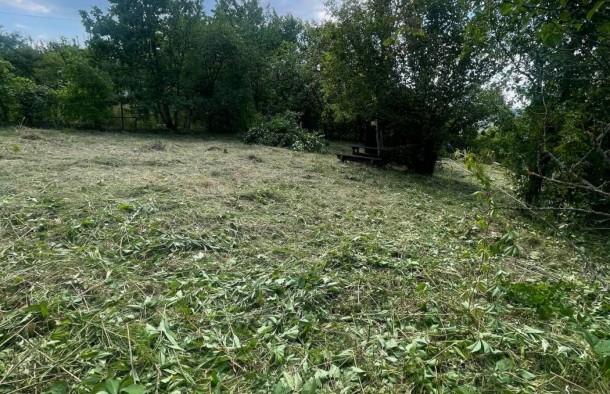 Продаж садової ділянки у межах міста Львова, урочище Збоїща, садовий кооператив Польова ромашка, діл. 10., фото 4