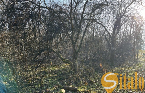 Продаж Земельна ділянка під садівництво  дача, забудова  м. Львів, рн Голоско, фото 2