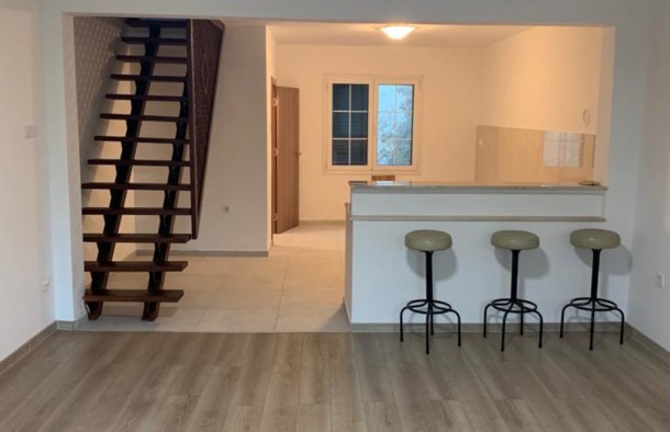 Продаж будинків в Чорногорії в Подгориці pg01465.2bd_s8629, фото 5