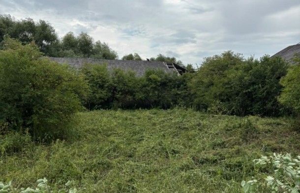 Продаж ферми у с. Никловичі, Самбірський район, Львів, фото 5