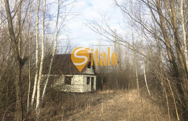 Продаж ділянки у березовому гаю біля річки Козинка Козин КончаЗаспа, Рудики, Плюти., фото 3