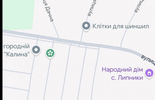 Земельна ділянка під забудову, Липники, фото 5