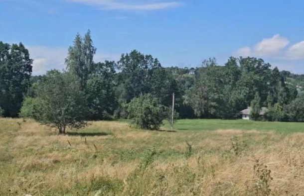 Земельні ділянки 1.87гас.СтопчатівКосівський район, фото 5