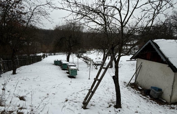 Земельна ділянка з будинком в с.Посіч 2625884601020010910, фото 4