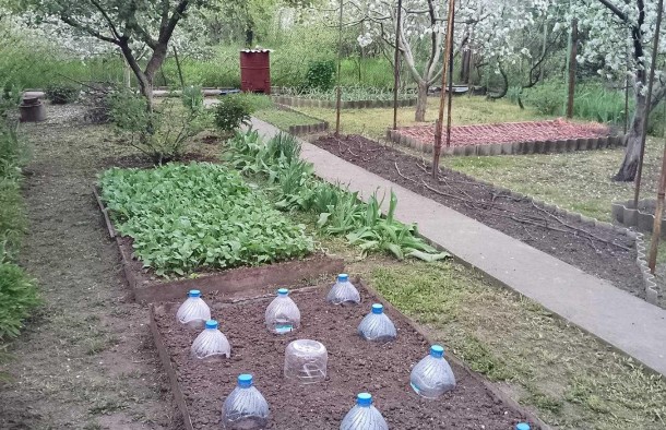 Продаж  Будинок  ДомСтудентська, Шевченківський, Запоріжжя, фото 4