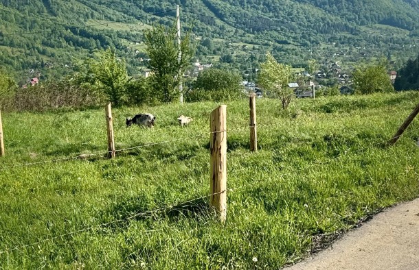 Земельна ділянка 54 сотихм.Яремче, фото 12