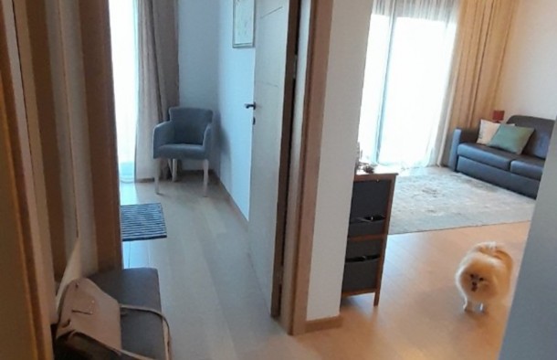 Продаж квартир в Чорногорії в Бечичі bc01491. 1d_s 8972, фото 7