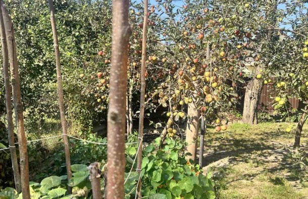 Продаж будинку, Липники, фото 7