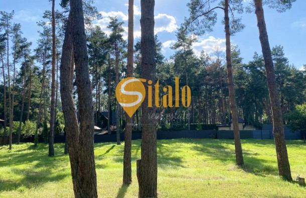 У сосновому лісі біля Романківська Усадьба, Новообухівський напрямок, 42,61 сотки, фото 3