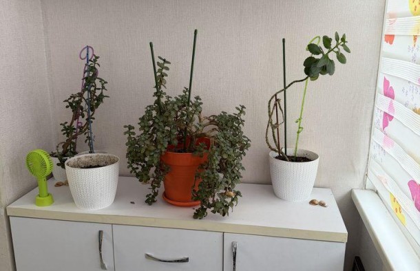 Продаж квартири з ремонтом по вул. Івасюка біля ТРЦ Арсен, фото 15