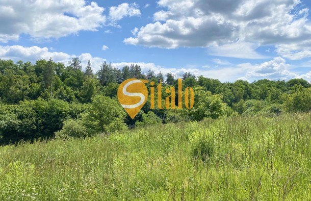 Ділянка з гарним краєвидом в Лісниках, Стежки, поруч Equides Club, Новообухівська траса, 17,7 соток., фото 9