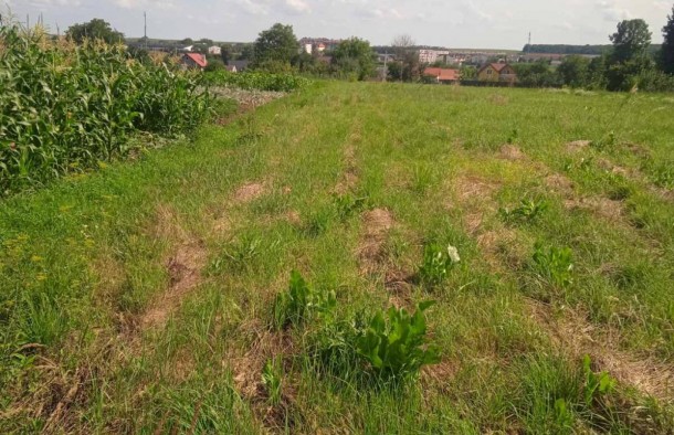 Продаж земельної ділянки поруч водного обєкта під забудову в Ременові, фото 3