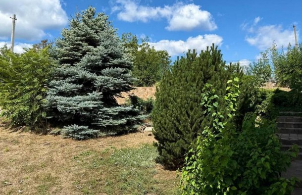 Особистий рай на березі Дніпра, фото 14