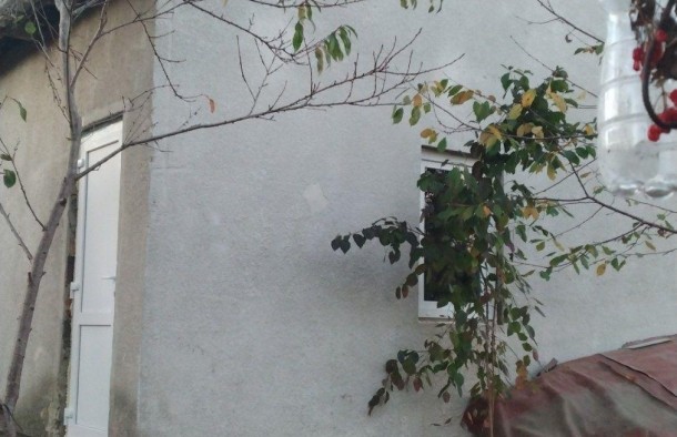 Дача сад.тов.Бистриця Надвірнянська, фото 7