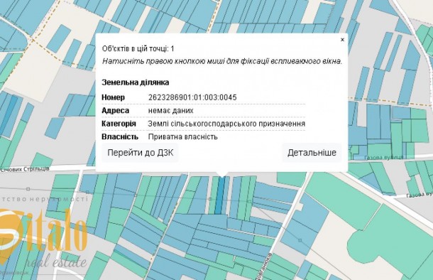 Земельна ділянка 14.86 сотих в с.Сопівм.Коломия, фото 16