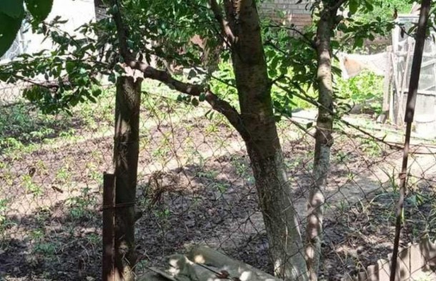 Два будинки на одній ділянці, фото 16