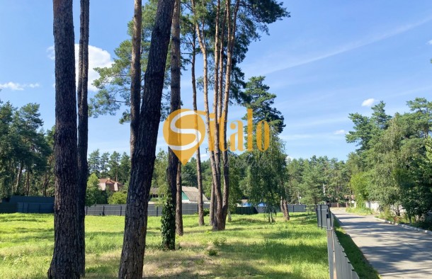 У сосновому лісі біля Романківська Усадьба, Новообухівський напрямок, 42,61 сотки, фото 14