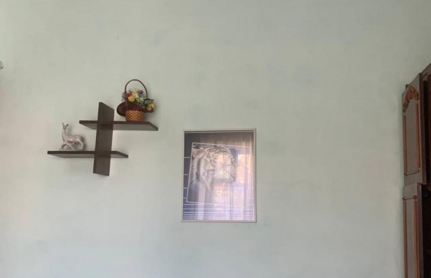 Продаж  Будинок   провулок Тихий, Балабине, фото 20