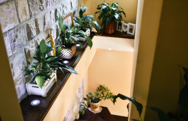 Продаж вілл і будинків в Чорногорії в Тіваті tv01490.3bd_8966, фото 9