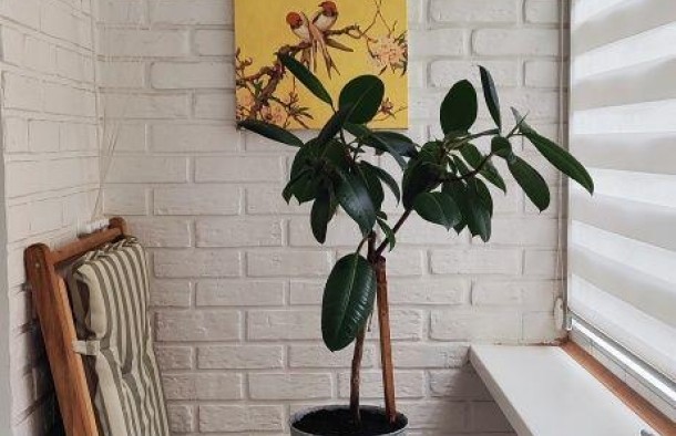 Продаж1к.кв. по вул. Чарівна, фото 5