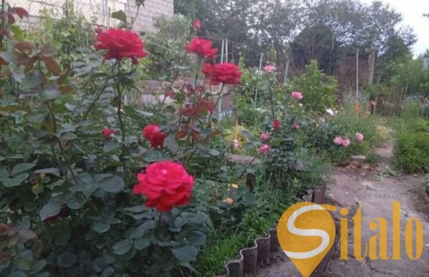 Продаж  Будинок  вул. Шевченка, Олександрівський, Запоріжжя, фото 17