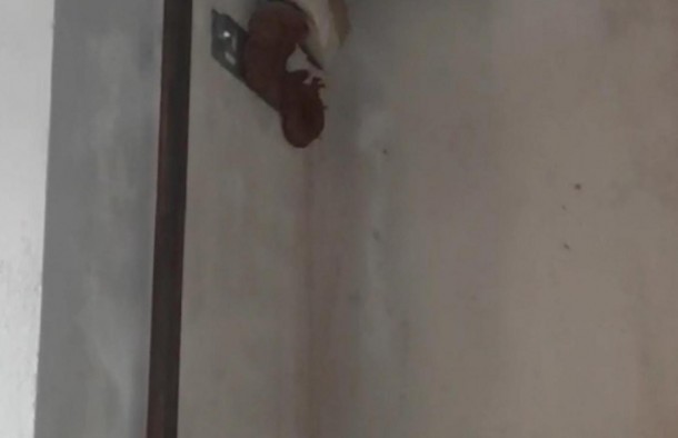 1 кім квартира сирецьвул.Галицькам. ІваноФранківськ, фото 12