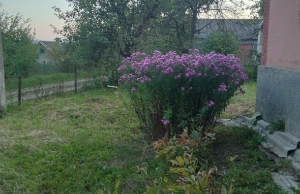 Продаж будинку  с.Старе Село, 15 хв. до м. Львів, фото 5