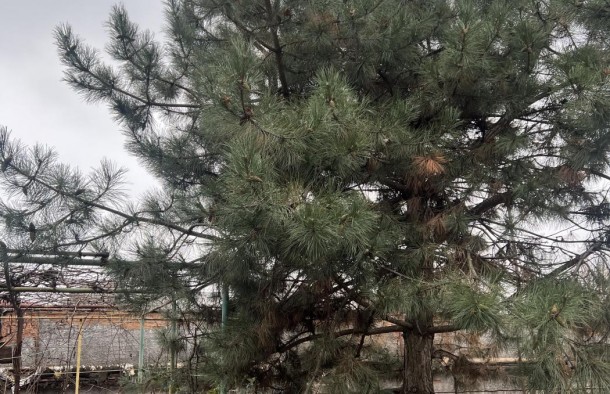 Продаж будинку на правому березі, Дніпровський район, фото 11