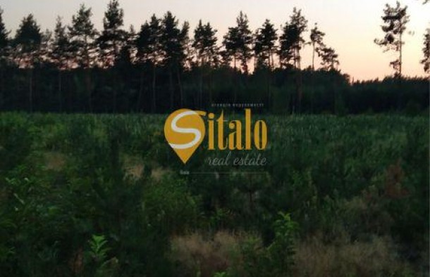 Простора 2кімнатна квартира в ЖК Лісова казка 2., фото 13